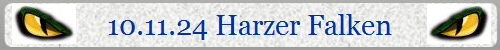 10.11.24 Harzer Falken
