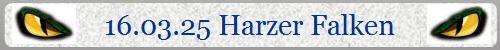 16.03.25 Harzer Falken