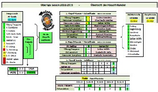 OL1819-Playoffs