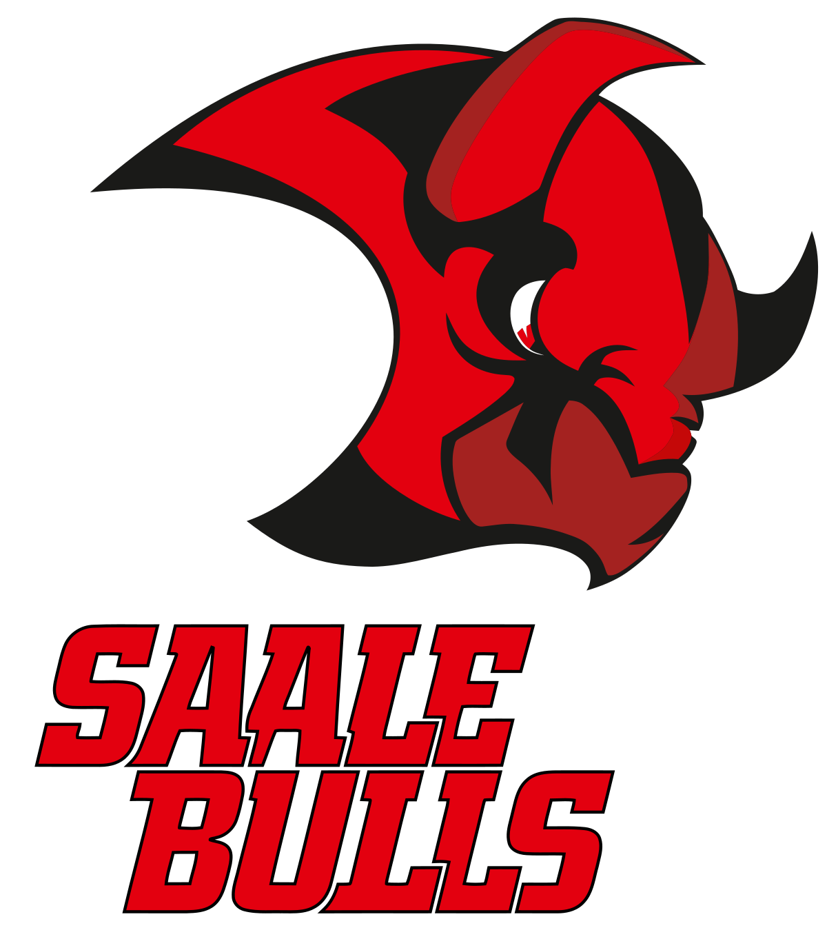 Saale_Bulls_Halle